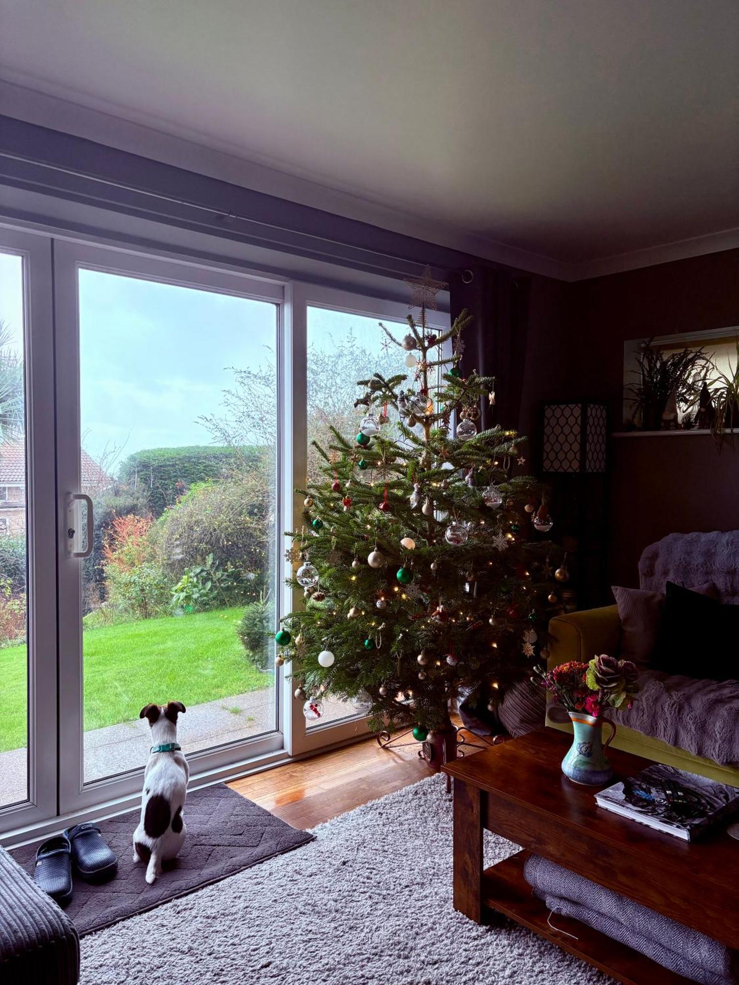 Stunning Charmouth Property With Bay Views! Exterior foto